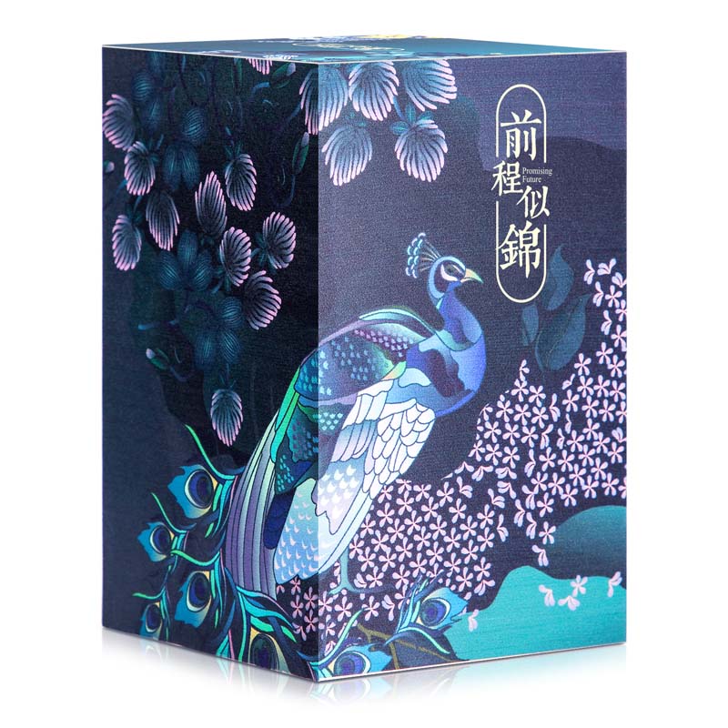 得力21717颐和园前程似锦便签本(绿)-860页（包）
